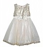 Isabelle Golden Partywear Dress - Online Shopping India